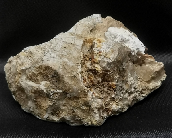 Wüstenjaspis
